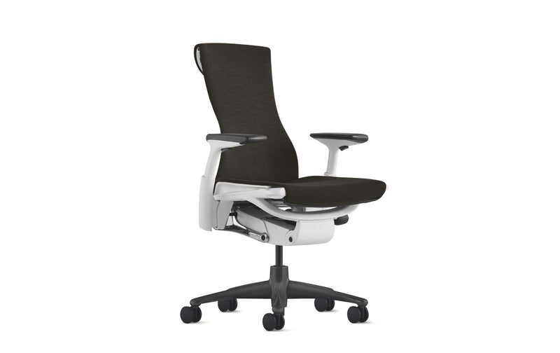 Herman Miller Embody Chair